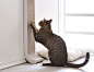 4CLAWS Wall Mount Cat Scratching Post