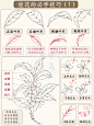 国画入门｜桂花的必学技巧（1）简单好学‼️