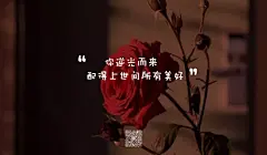 我将违背我的天性 

忤逆我的本能 永远爱你



你逆光而来  

配得上世间所有美好



你只需要向我走一步 

剩下的九十九步由我走向你
