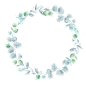 FLORISTIC_JULIA_DREAMS