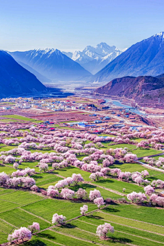 孟菲斯CHEN采集到大地艺术