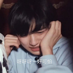 却有药香盈袖采集到表情储