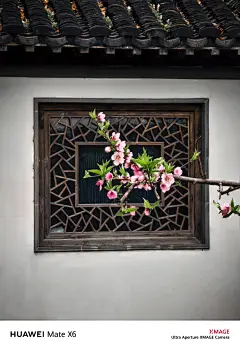 我看到的VS我拍到的｜南京春日壁纸限时上新 - 小红书