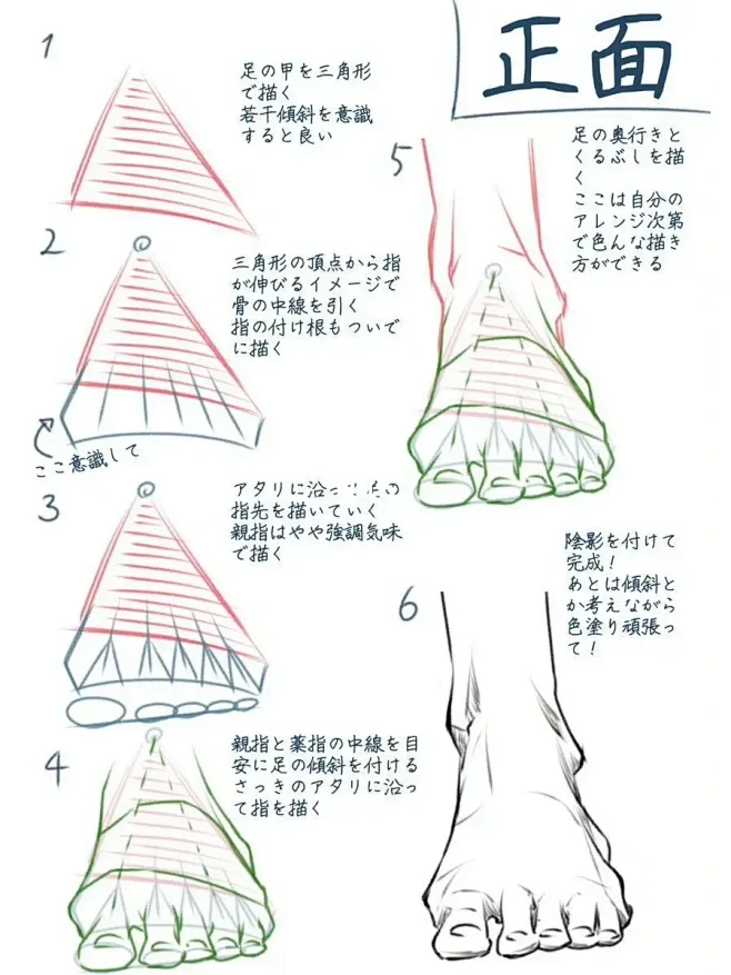 绘画教程/脚部结构解析