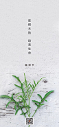 【知识星球：地产重案】0315植树节