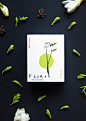 Flora packaging concept : Студия LOCO разработала концепт упаковки для бренда FLORA. Flora — цветочные луковицы для комнатного проращивания. Бренд представлен линейкой из четырех видов растений: фрезия, ранункулус, ирис, кроспедия. Основополагающая идея б
