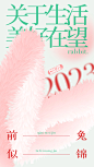 AI毛绒兔耳朵海报