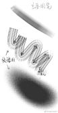6[_Q_TGLS)11M22RII[D$PW