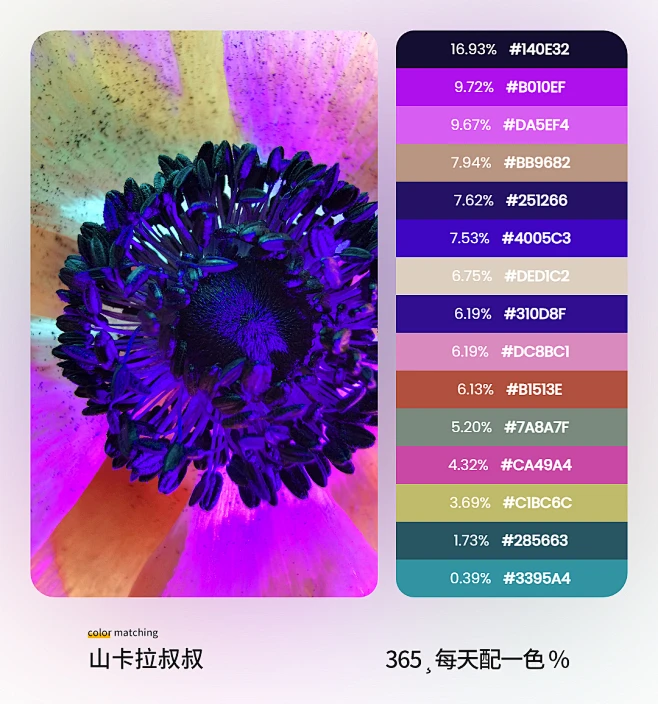 配色-花瓣网