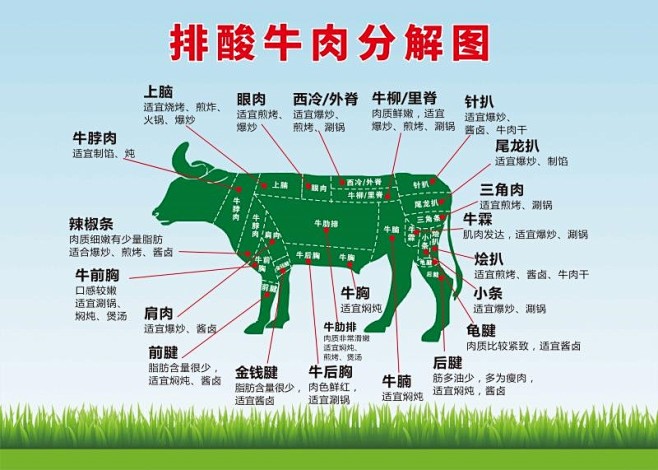 排酸牛肉分解图 挂图 牛肉部位分割表 展...