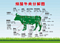 排酸牛肉分解图 挂图 牛肉部位分割表 展板 海报-淘宝网
