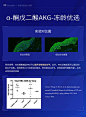 Sunulos碧容健美国原装进口EGT麦角硫因胶囊线粒体抗衰3D面部提拉 1盒装（初入体验）【图片 价格 品牌 报价】-京东