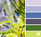 Design Seeds® | find your palette