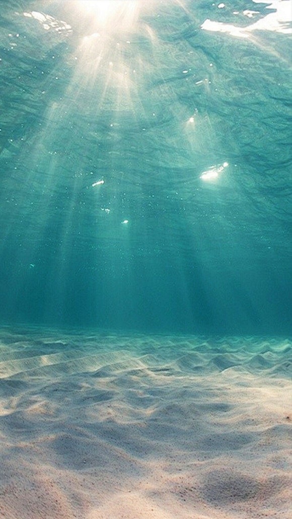 自然 水