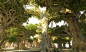 Dragon Tree, Krzysztof Plonka : Dragon Tree Spooky Forest HD PACK 
Hibrid -Scan 

https://www.turbosquid.com/FullPreview/Index.cfm/ID/1392230