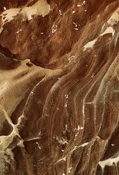 pexels-anete-lusina-16621445