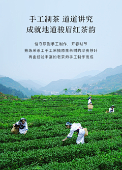 时光故事机i采集到时光设计—茶类参考