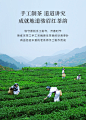 八马茶叶 金骏眉红茶武夷山桐木关金骏眉小罐散装自饮茶叶80克-tmall.com天猫