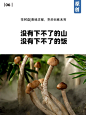 广告语，土到极致是高级