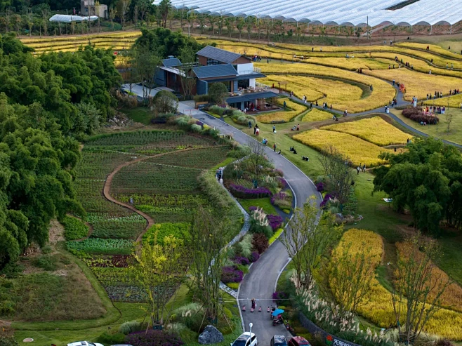 振兴-龙泉天府阳光（田园文旅类型） - ...