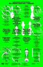 typo/graphic posters