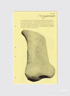 Camera_XHS_17019237214991040g2sg30sag4fpkiq0g5paj