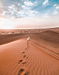 Photo by Visit Dubai in Dubai Desert with @micheli_fernandes, and @visit.dubai.