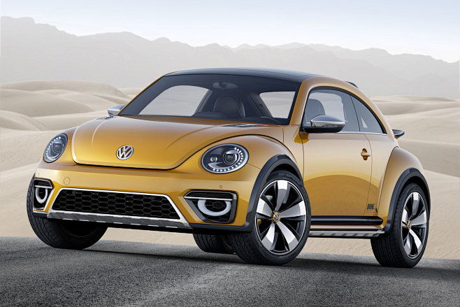 Volkswagen Beetle Du...