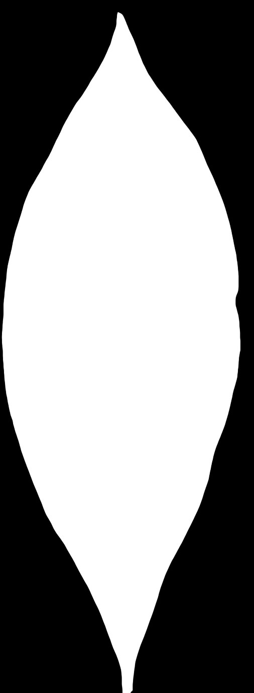 35247721