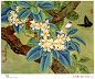 【金鸿钧工笔花鸟画欣赏】