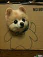 puppy