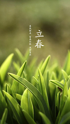 吉柳儿采集到节气