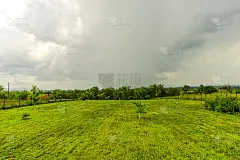 春天的风景