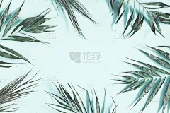 热带棕榈叶在柔和的薄荷背景。夏天的概念。平铺，俯视图，拷贝空间