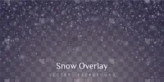 背景聚焦,雪,透明,分离着色,自然,幻想,干燥食品,庆祝,设计,装饰