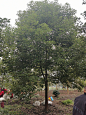 IMG_20231124_111100