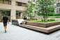 P_2445 M Street — Landscape Architecture Bureau