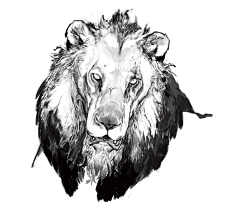 HHeyboy采集到插画6