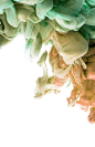 艺术绘画 色彩视觉创意彩绘 素材 烟 纱 布 面料 渲染
@--纯图--