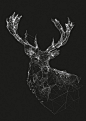 Deer #素描#