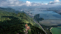 邝坤好哇塞采集到海报