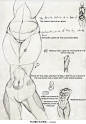 Skecchi Anatomy Tips: Torsoage by *Ecchi-Senshi on deviantART 
