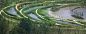 Minghu Wetland Park, Guizhou, China / Turenscape - 谷德设计网