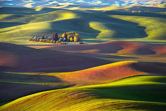 Palouse Plantation b...