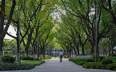 耶博小可爱biu~采集到Landscape丨植物造景