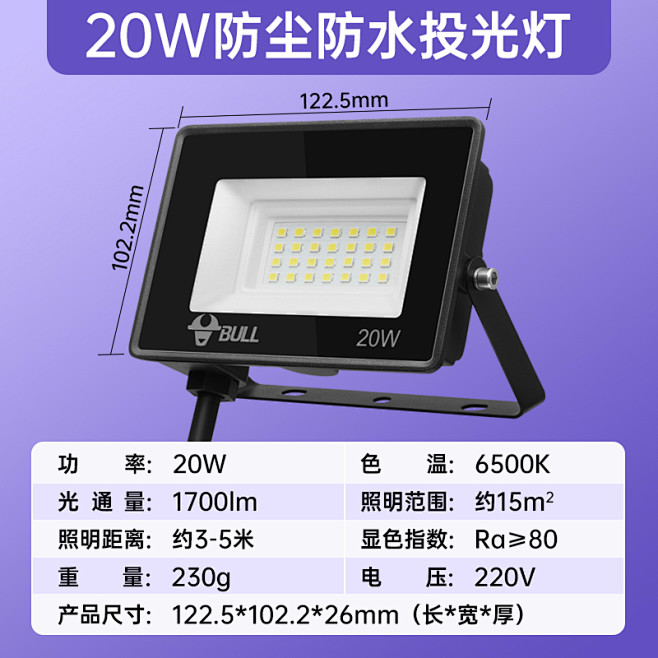 20W