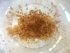 咖啡色肉桂粉加冰卡布奇诺咖啡的白色泡沫，背景模糊。