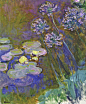Water Lilies and Agapanthus, 1914-17