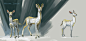 White Deer of Moria