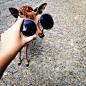 去奈良，跟小鹿合一张影。 | LOFTER（乐乎） - 记录生活，发现同好